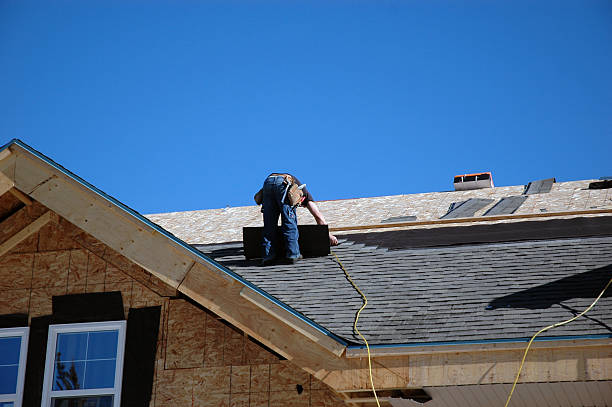 Best Roof Gutter Cleaning  in Capron, IL