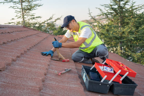 Best Local Roofing Companies  in Capron, IL